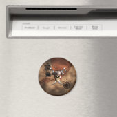 Pirate Map Magnet (In Situ (Geschirrspüler))