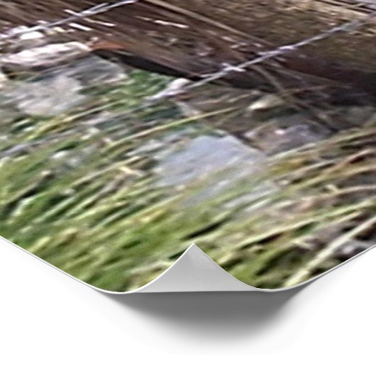 Pirate Pete Poster (Ecke)