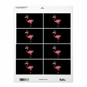 Pirate Pink Flamingo mit Eyepatehalpie (Vorne)