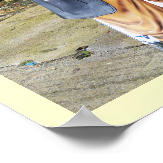 Pirate Poster (Ecke)