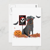 Pirate Postkarte (Vorne/Hinten)