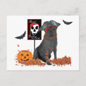 Pirate Postkarte (Vorderseite)