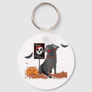 Pirate Schlüsselanhänger