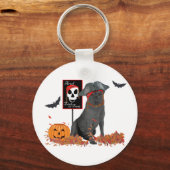 Pirate Schlüsselanhänger (Vorderseite)