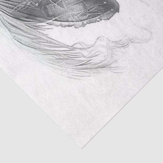 Pirate Schwarz-weiß Decoupage Seidenpapier (Ausschnitt)