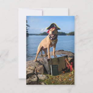 Pirate Sea Dog Kostümbuch Funny Dog Foto Card Dankeskarte