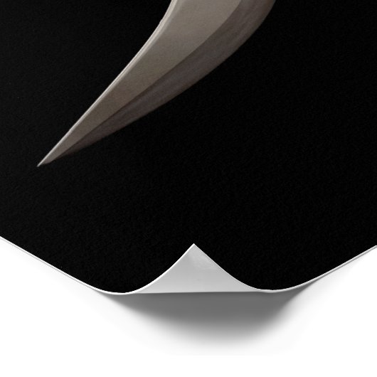 Pirate Skull Compass Rose Poster (Ecke)