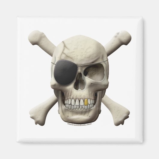 Pirate Skull & Crossbones Magnet (Vorne)