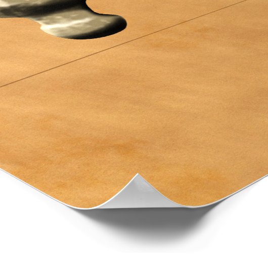 Pirate Skull Poster (Ecke)