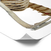 Pirate Tennis Losing Skelett Poster (Ecke)