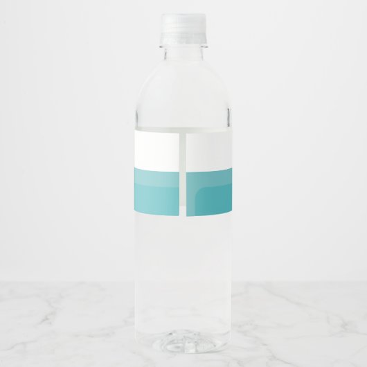 Pirate Theme Birthday Party Wasserflaschenetikett (Rückseite)