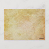 Pirate Wedding "Save the Date" Postkarte (Rückseite)