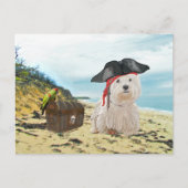 Pirate Westie Postkarte (Vorderseite)