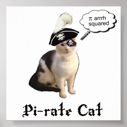 PiRateCat Poster (Vorne)