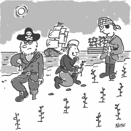 Piraten grasen mit einem Holzsteg. Funny Aufkleber (Vorderseite)