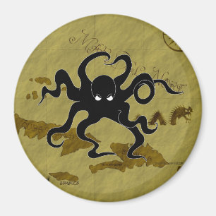 Piraten-Karte #1 Magnet