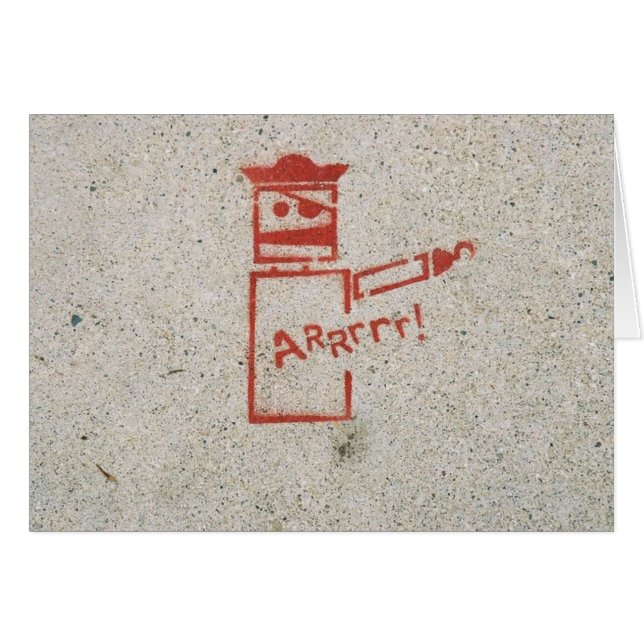 Piraten-Roboter (Vorderseite (Horizontal))