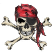 PIRATENFLAGGE PIRATE FOTODRUCK