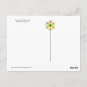 PIRATENFLAGGE SKULL UND DREI LILIES FLAG POSTKARTE (Rückseite)