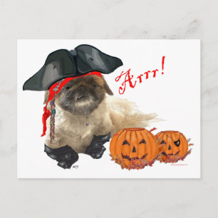 Piratenhündchen Postkarte