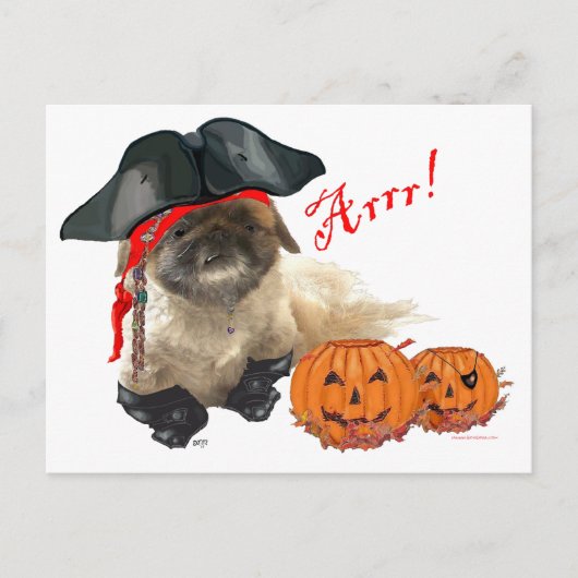 Piratenhündchen Postkarte (Vorderseite)