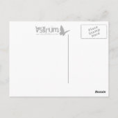 Piratenschädel Postkarte (Rückseite)