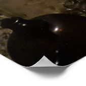 Pirates Cave Poster (Ecke)