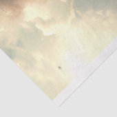 Pirates Skull Ship Flies Decoupage Seidenpapier (Ausschnitt)