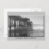 Pire Schwarzes wh Graugrenze Postkarte (Vorne/Hinten)