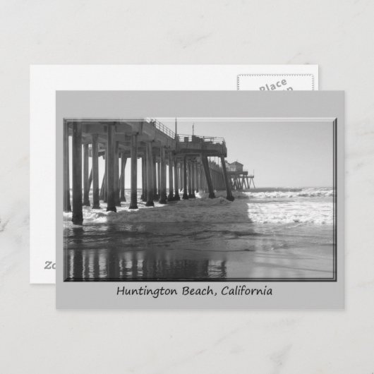 Pire Schwarzes wh Graugrenze Postkarte (Vorne/Hinten)