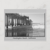 Pire Schwarzes wh Graugrenze Postkarte (Vorderseite)