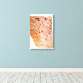 Piri Reis Alte Weltkarte für Leinwand Wrap (Insitu (Holzboden))