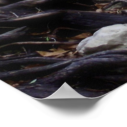 Pirogues-Plakat Poster (Ecke)