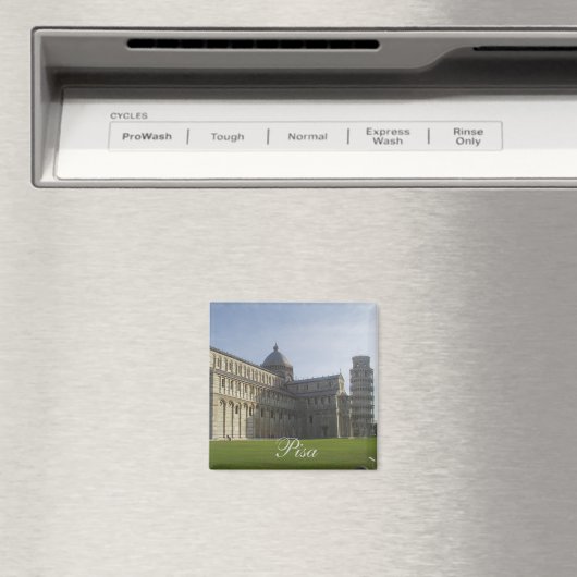 Pisa-Magnet Magnet (In Situ (Geschirrspüler))