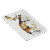 Pisanello Buck 2006 Magnet (Rechte Seite)