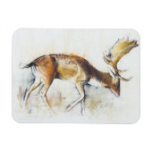 Pisanello Buck 2006 Magnet (Horizontal)