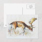 Pisanello Buck 2006 Postkarte (Vorne/Hinten)