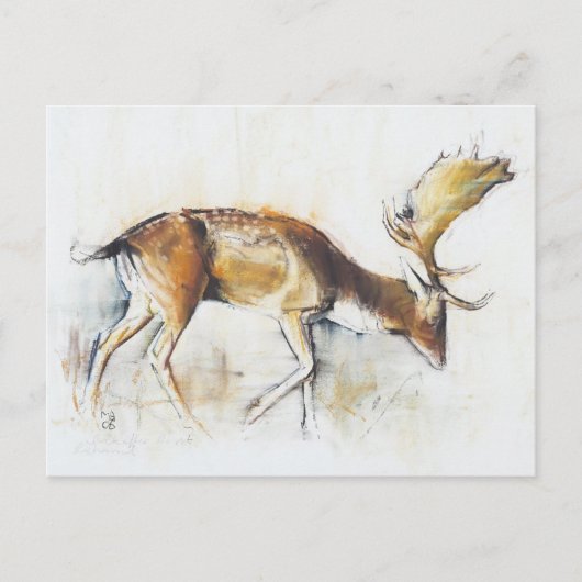 Pisanello Buck 2006 Postkarte (Vorderseite)