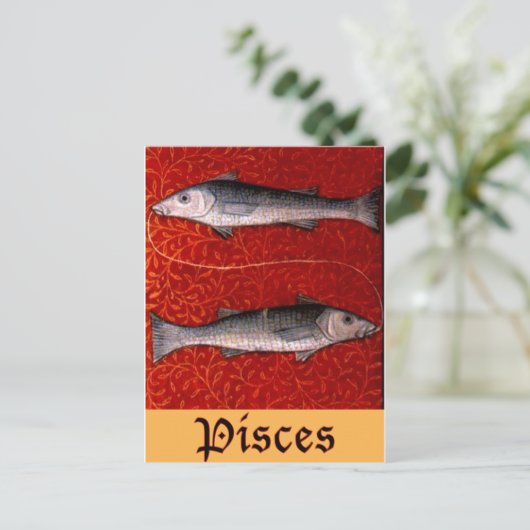Pisces2 Postkarte (Stehend Vorderseite)