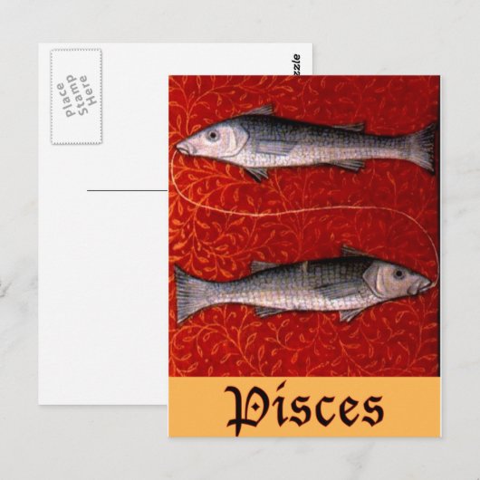 Pisces2 Postkarte (Vorne/Hinten)
