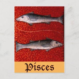 Pisces2 Postkarte