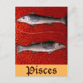 Pisces2 Postkarte (Vorderseite)