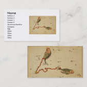 Pisces Business Card Visitenkarte (Vorne/Hinten)
