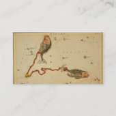 Pisces Business Card Visitenkarte (Rückseite)