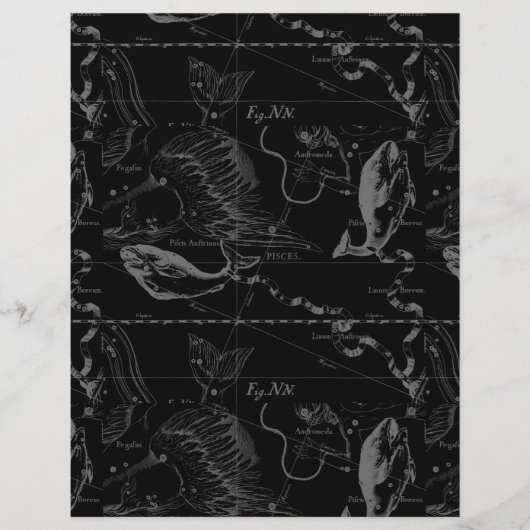 Pisces Constellation Hevelius 1690 auf Schwarz (Vorderseite)