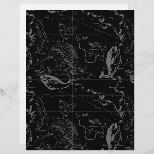 Pisces Constellation Hevelius 1690 auf Schwarz (Vorne/Hinten)