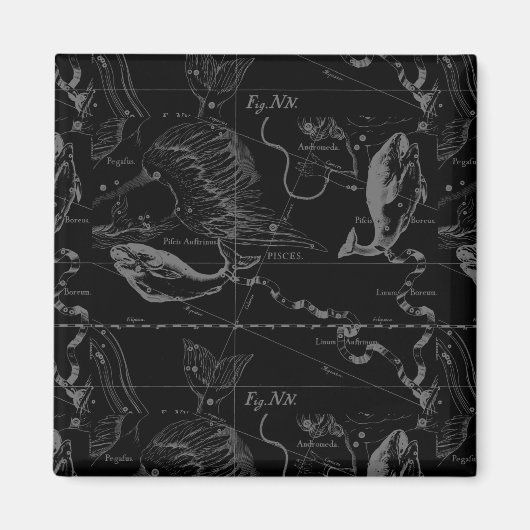 Pisces Constellation Hevelius 1690 auf Schwarz Magnet (Vorne)