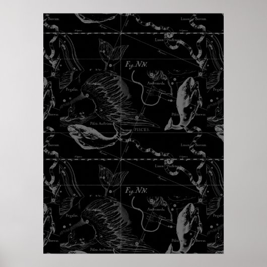 Pisces Constellation Hevelius 1690 auf Schwarz Poster (Vorne)