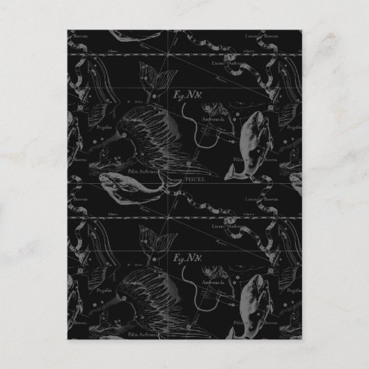 Pisces Constellation Hevelius 1690 auf Schwarz Postkarte (Vorderseite)