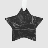 Pisces Constellation Hevelius 1690 Karte Gravieren Ornament (Rückseite)